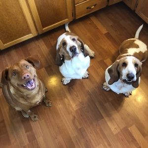 Meet your Posher, Janean